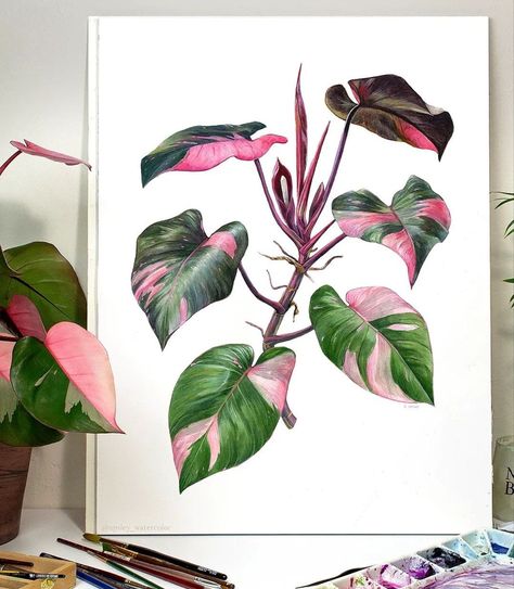 Pink Princess Plant, Princess Plant, Pink Princess Philodendron, Princess Philodendron, Watercolor Study, Philodendron Pink Princess, Princess Painting, Philodendron Plant, Plant Tattoo