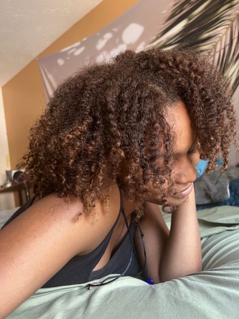 Type 4 Hair Color Ideas, Brown Highlights On Natural 4c Hair, 4b Hair Color Ideas, Coily Hair Color Ideas, Brown Dyed Natural Hair, Sunkissed Hair Brunette Curly, Light Brown Afro, Honey Brown Hair Color, Mocha Brown Hair