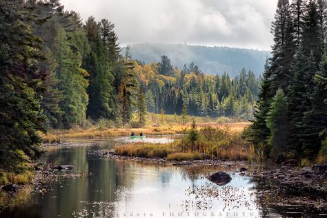 Algonquin Provincial Park... takes my breath away. Ontario Provincial Parks, Algonquin Provincial Park, Fall Artwork, Algonquin Park, Canada Photography, Fall Designs, Canada Photos, Wilderness Camping, Canadian Travel