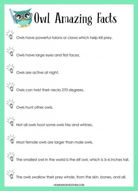 Owl Facts Printable Owl Pellets Printable, Wow Said The Owl Activities, Owl Lesson Plans For Preschool, All About Owls Kindergarten, Owl Facts For Preschoolers, Owl Facts For Kids, Owl Preschool, Owl Activities, Owl Facts