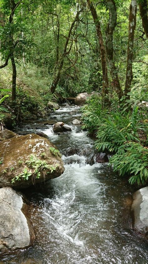 Beautiful Settings, Mountain Streams, Rivers Streams, Garden Waterfall, Beauty Day, Water Falls, Tableaux Paysage, Beautiful Waterfalls, Alam Yang Indah