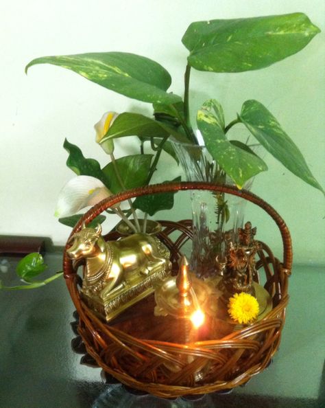 Cane Baskets Decoration Ideas, Indian Decoration, Landscape House, Brass Decoration, Cane Baskets, Indian Room Decor, Buddha Decor, Trendy Plants, Big Basket