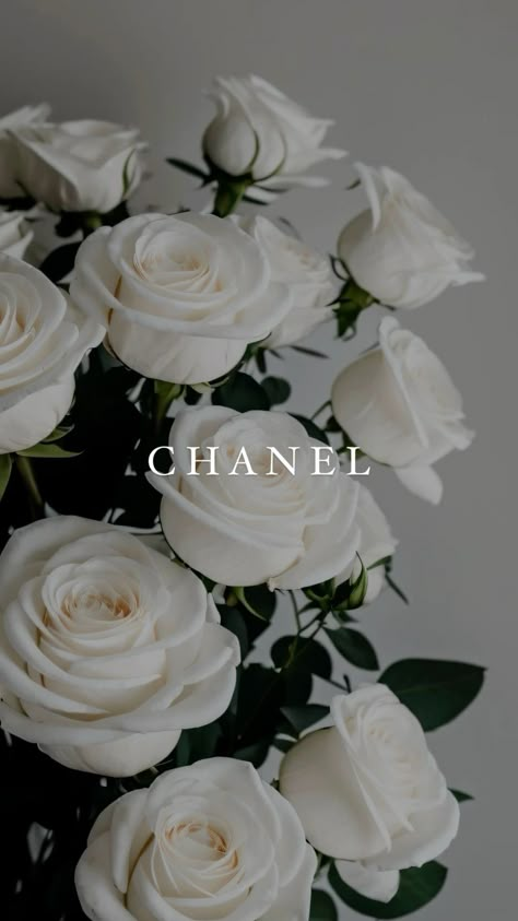 Chanel Background, Coco Chanel Wallpaper, Chanel Wallpaper, Louis Vuitton Iphone Wallpaper, Photo Collage Wall, Baby Blue Wallpaper, Gold Wallpaper Background, Good Morning Gorgeous, Iphone Wallpaper Stills