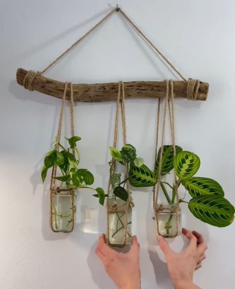 Modern Indoor Plants, Wall Hanging Decorations, Hanging Plants Diy, Easy Diy Room Decor, Plant Wall Decor, Plants Wall, Diy Glass Bottle Crafts, Diy Plant Hanger, Diy Jar Crafts