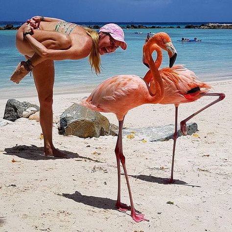 YOGA DIABLO su Instagram: "Double tap if you Love this Shot .💓 Flamingos style yoga.🥰 . 🌸Want to start yoga? . 🧘Follow @yoga.diablo for more Yoga! . Thanks for…" Flamingo Pose, Aruba Beach, Yoga Kundalini, Yoga Inspo, Lavender Eye Pillows, Pink Travel, Camel Pose, Zara Bodysuit, Yoga Iyengar