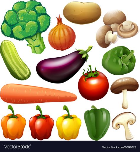 Baby Animal Nursery Art, Vegetable Illustration, Kinds Of Vegetables, Card Games For Kids, Food Clipart, Work Meals, Fruit Photography, Vegetable Basket, Different Fruits