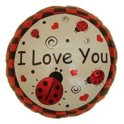 Ladybug Quotes, Bubble Guppies Birthday, Ladybug Birthday, Ladybug Party, A Ladybug, Love Bug, Beautiful Bugs, Older Sister, Frozen Birthday Party