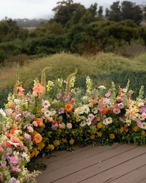 And über dreamy 🌙 crescent meadow 🌙 altar design highlighted by an always epic Santa Barbara coastline *chefs kiss* Dream team Bride @abydulle Florals @flora_fauna_design Photos @photographywithnatalie Planning @detailsdarling Venue @dos_pueblos_orchid_farm ##santabarbaraweddings #santabarbaraflorist #santabarbaraweddingplanner #westcoastflorist #westcoastplanners #westcoastweddingphotographer #weddingphotographer #weddingflorist #crescentmeadow #dospueblosorchidfarm #weddingplanning Ceremony Backdrop Flowers, Wildflower Wedding Arch, Hanging Floral Wedding, Ceremony Floral Arrangements, Barn Wedding Flowers, Floral Archway, Altar Design, Chefs Kiss, Wedding Arch Flowers