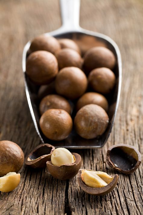 Healthy Nuts, Nut Recipes, People Food, Human Food, Macadamia Nuts, Fun Snacks, Healthy Snacks Recipes, Beautiful Food, Macadamia