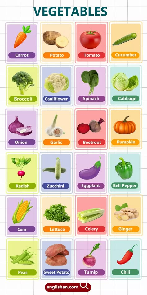 Vegetables Names for Kids with Pictures Vegetable Names In English, Vegetables Name, Name Of Vegetables, Vocabulary For Kids, Preschool Creative Art, Picture Vocabulary, Creative Art Activities, Teach English To Kids, Kids Vegetables