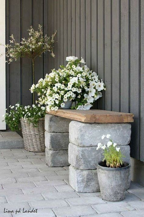 Funny Vine, Garden Bench Diy, Diy Bench Outdoor, Cheap Backyard, نباتات منزلية, Base Jumping, Vintage Garden Decor, Beautiful Patios, Outdoor Diy Projects