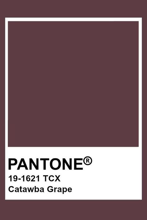 Monday's colours... Burgundy Pantone, Catawba Grapes, Pantone Tcx, Pantone Color Chart, Pantone Swatches, Color Knowledge, Pantone Colours, Violet Brown, Pantone Palette