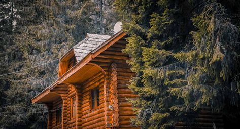 Daniel Boone National Forest, Eastern Kentucky, Cozy Cottages, Red River Gorge, Daniel Boone, Log Cabins, Red River, Cabin Rentals, Cozy Cottage