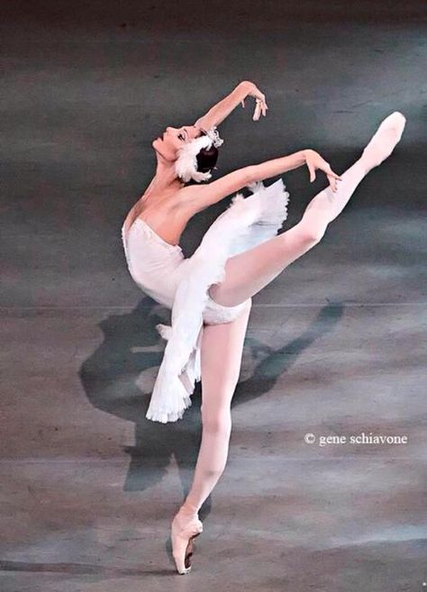 Oksana Skorik, Dancing Pics, Mariinsky Ballet, Ballet Images, Dance Picture Poses, Ballet Pictures, Ballet Boys, Ballet Beauty, Ballerina Tutu