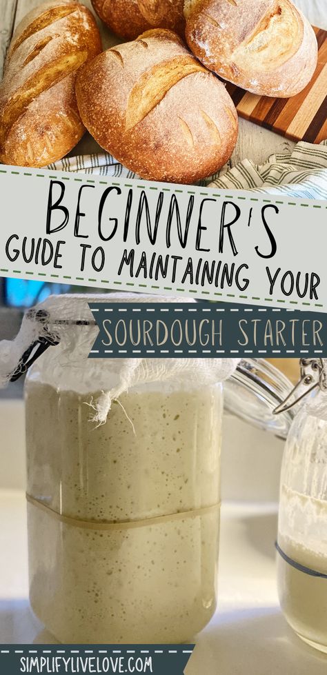 Feeding Sourdough Starter, Feeding Sourdough, Bread Starters, Sourdough Tips, Sourdough Bread Starter, Dough Starter, Sourdough Starter Discard Recipe, Starter Recipes, Easy Sourdough