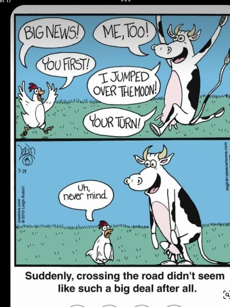 Chicken Jokes, Far Side Cartoons, Far Side Comics, Saint Thomas, Funny Farm, Far Side, Chicken Humor, Funny Thoughts, Friday Humor