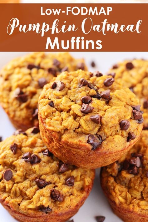 Ibs Meals, Lowfod Map, Low Fodmap Pumpkin, Fodmap Meals, Pumpkin Oatmeal Muffins, Muffins With Chocolate Chips, Gut Recipes, Fodmap Recipes Dinner, Low Fodmap Recipes Dinner