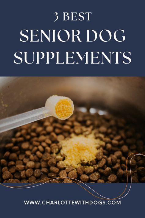 Glucosamine For Dogs, Cranberry Supplements, Liver Supplements, Best Dog Supplements, Epileptic Dog Diet, Finn Dog Supplement, Dog Nutrition Supplements, Itchy Dog, Brain Supplements