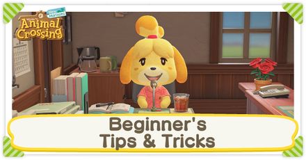 This is a list of Tips and Tricks for beginners in Animal Crossing: New Horizons (ACNH) for the Nintendo Switch. Learn the best ways you can improve island life and work your way to building up your dream island with our collection of simple but efficient guides below! Acnh Beginner, June Bug, Snorkels, All Fish, Clean Slate, Wedding Candles, Island Life, Wedding Season, Animal Crossing