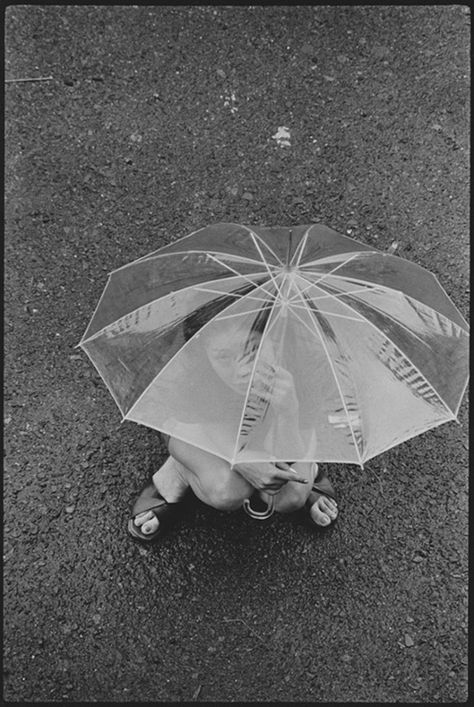 Masahisa Fukase, Another Language exhibition Masahisa Fukase, Japanese Photography, Japan Photography, She Left, Modern Photography, Ravens, Photography Inspo, The Guardian, Photo Studio