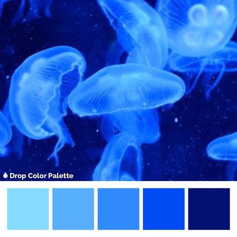 #aesthetic #color #blue #azul #instagram #studygram #studygramvt@ Aesthetic Color, Jellyfish, Color Inspiration, Color Palette, Avatar, Color Blue, Mural, Drawings, Canvas