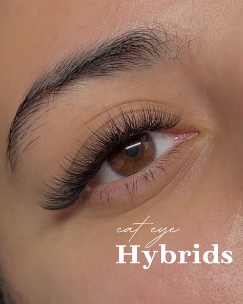 Cat eye hybrids🤍 . . . . . . . . . . #wispy #lashes #lashextensions #volumelashes #wispylashes #eyelashextensions #volume #lashartist #hybridlashes #lashtech #eyelashes #classiclashes #wispyclassics #lashtecheastlondon #lash #hybrid #minklashes #lashesonfleek #lashgoals #lashboss #megavolumelashes #lashlove #lashesfordays #classic #eyelash #lashtechhackney #wispylashextensions #lashed #lashlift #lashtechlondon Hybrid Lashes Cat Eye, Hybrid Cat Eye, Lashes Cat Eye, Hybrid Lashes, Hybrid Cat, Wispy Eyelashes, Nail Logo, Wispy Lashes, Nails Only