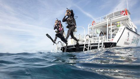 Padi Certification, Scuba Diving Certification, Scuba Diving Courses, Diver Down, Scuba Tank, Diving Course, Boat Cleaning, Scuba Gear, Dive Shop