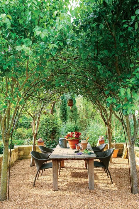 Table In Vegetable Garden, Container Garden Backyard, Large Vegetable Garden Design, Round Vegetable Garden, Shade Vegetable Garden, Vegetable Landscaping, Beautiful Vegetable Garden Design, Mini Vegetable Garden, Large Garden Design