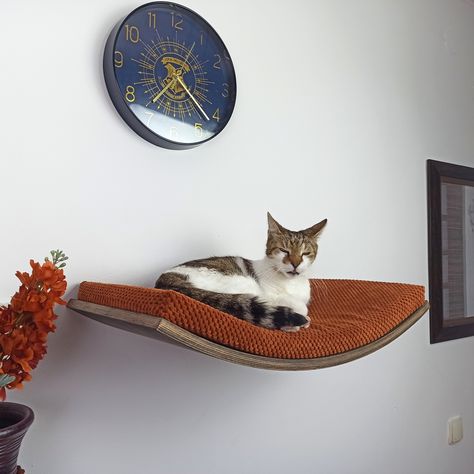 "Elevate your cat's comfort with the Wall Cat Shelf Classic Arc Wooden. This premium wall-mounted floating perch bed with pillow is not just a cozy sleeper place but also a spot to play, rest, and observe. With invisible fixing elements and aesthetic design, it adds elegance to any interior. 🎁 Features: ✨ Exclusive Design: A beautiful arc shape crafted with non-toxic materials for safety. The shelf is made of beech plywood and covered with ecological water-based paint (matt or semi-matt finish) Bedroom Ideas Cat Friendly, Cat Wall Living Room, Cozy Cat Corner, Cat Bed On Wall, Cat Shelves Aesthetic, Weird Interior Design, Cat Area In Apartment, Stylish Cat Shelves, Perch Bed