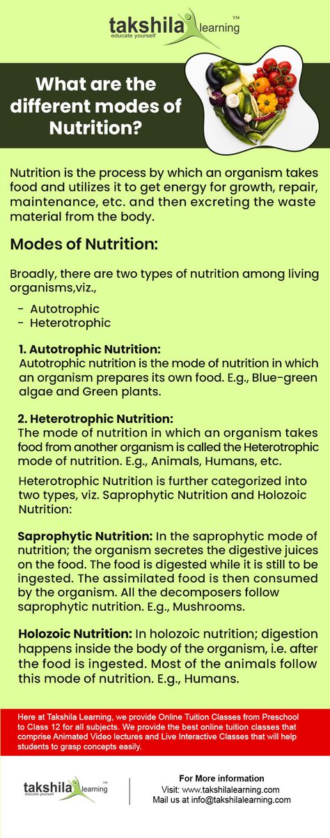 TypesofNutrition Science Formulas, Science Diagrams, Class 10 Science, Learn Biology, Sample Question Paper, Nutrition Infographic, Notes Life, Biology Projects, Nutrition Classes