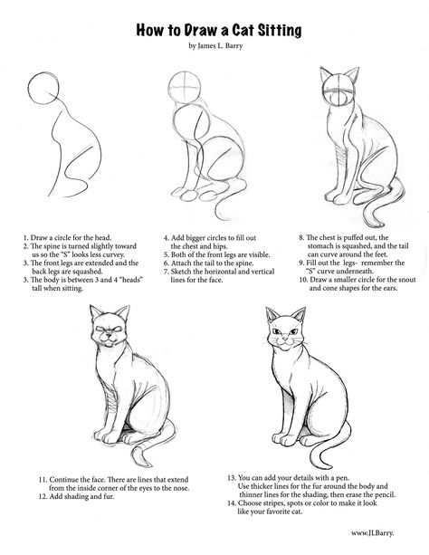 Cat Sitting Down, Draw Cats, Draw A Cat, Drawing Instructions, Cat Drawing Tutorial, Cat Anatomy, Cat Steps, Cat Tutorial, Cat Sketch