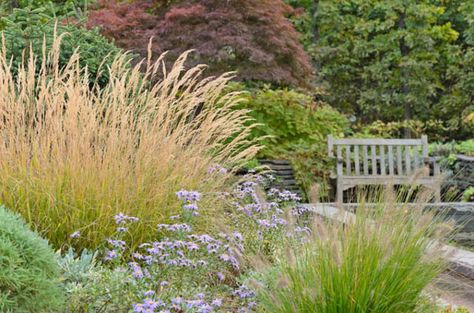 New England, New England garden, Best Ornamental Grasses, Ornamental Grasses for New England ... Backyard Landscaping On A Hill, Ornamental Grasses For Shade, New England Garden, Shade Landscaping, Landscaping On A Hill, Shade Grass, Seaside Garden, Privacy Plants, Perennial Grasses