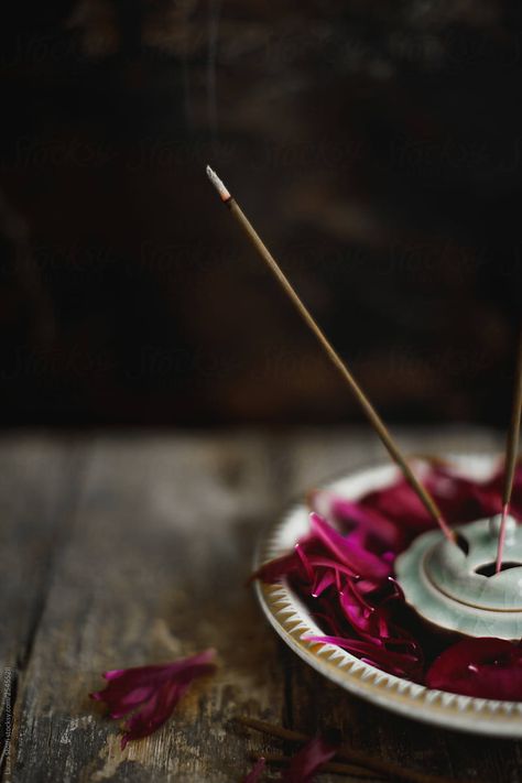 Stock photo of incense twig burning inside porcelain holder. The antique burner stands amongst many peony petals collected inside china bowl. Aesthetic Incense, Incense Aesthetic, Incense Photography, Burning Inside, Peony Petals, Incense Burning, Candles Photography, China Bowl, Burning Incense