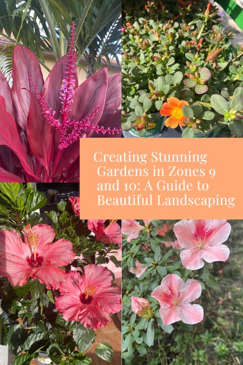 Experience the beauty and vibrant colors of Zone 9 and 10 South Florida gardens with our step-by-step guide! Discover unique plants, irresistible blooms, and expert tips that will transform your garden into a tropical paradise you can be proud of. Don't miss out on this amazing journey! Colorful Florida Landscaping, Zone 11 Landscaping, Zone 10b Landscaping, Florida Plants Landscaping Full Sun, Zone 9 Landscaping Florida Full Sun, Full Sun Tropical Plants Landscapes, Tropical Landscaping Front Yard Florida Garden Ideas, Florida Gardens Landscaping, Zone 9b Plants