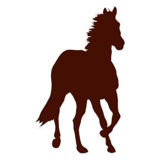 Running Silhouette, Horse Farm, Farm Design, Silhouette Png, Shirt Maker, Horse Farms, Create T Shirt, Svg Design, Png Image