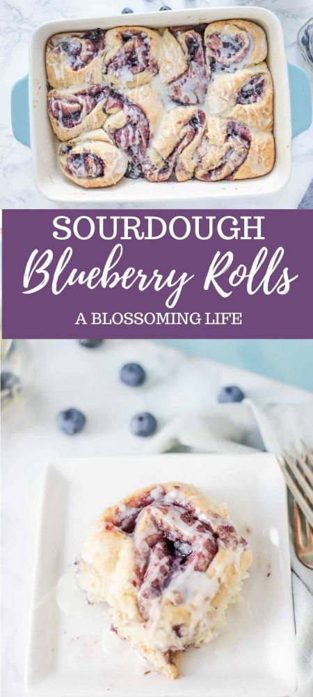 Blueberry Sourdough, Blueberry Rolls, Sweet Rolls Recipe, Sourdough Blueberry, Brown Sugar Sauce, Using Sourdough Starter, Recipe Using Sourdough Starter, Sourdough Starter Recipes, Discard Recipe