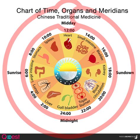 Do you experience troubled sleep? Do you often wake up in the night? If yes, then at what time do you regularly wake up? Here is what it means Chinese Traditional Medicine, Yoga Breathing Techniques, Waking Up At 3am, Spiritual Awakening Signs, Trouble Sleeping, Endocrine System, 3 Am, Traditional Medicine, Spiritual Meaning