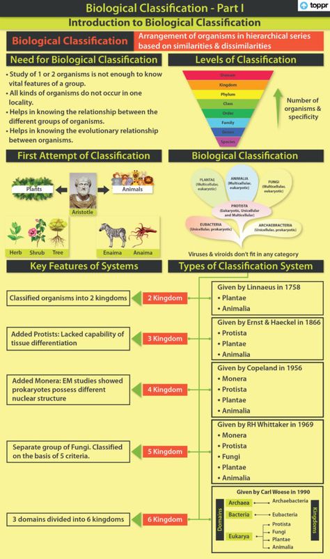 Kingdom Animalia: Attributes, Hierarchy, Patterns, Examples and Videos Taxonomic Hierarchy, Kingdom Animalia Notes, Decomposing Numbers Kindergarten, Biological Classification, Igcse Biology, Decomposing Numbers, Cell Organelles, Study Stuff, Kingdom Plantae