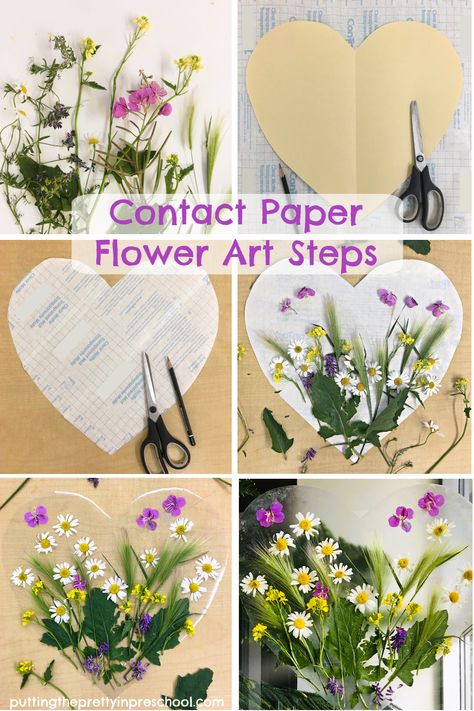 Steps to create oh-so-pretty contact paper flower art using flowers and foliage found in the wild. A beautiful, transient nature art project. Wild Flower Crafts For Kids, Flower Art Projects For Kids, Gift Paper Craft, Flower Activities For Kids, Contact Paper Crafts, Flower Activities, Flower Crafts For Kids, Art Steps, Kindergarten Art Crafts