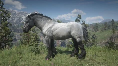 You may have never heard of the Ardennes horse breed but these 15 fun facts will give you insight into the breed made popular in America by the video game Red Dead Redemption 2. Rdr2 Horse Breeds, Rdr Horses, Ardennes Horse, Rdr2 Horses, Draft Horse Breeds, Red Dead Redemption 3, Horse Breeder, Red Dead Online, Horse Facts