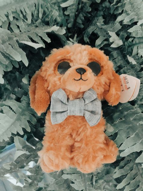 Beanie Boo Outfits, Ty Plushies Aesthetic, Beanie Boos Aesthetic, Ty Plushies, Beanie Boo Dogs, Ty Beanie Boos Collection, Ty Animals, Ty Stuffed Animals, Ty Toys