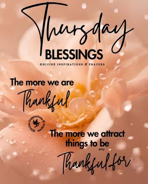 Divine Inspiration And Prayers, Thursday Prayer, Good Morning Thursday Images, Thursday Inspiration, Thursday Blessings, Good Morning Thursday, Thursday Quotes, Morning Prayer Quotes, Thankful Thursday