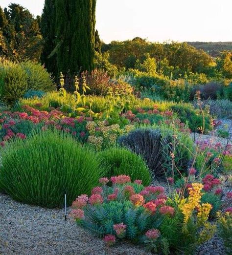 Come arredare il giardino in stile mediterraneo - Idee per giardino mediterraneo Mediterranean Garden Design, Dry Garden, Gravel Garden, Garden Deco, Mediterranean Garden, Garden Pictures, Native Garden, Ideas Garden, Colorful Garden