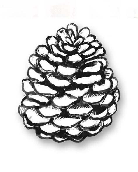 Pinecone Drawing, Pine Cone Drawing, Cone Drawing, Drawing Snow, Donna Dewberry Painting, Simple Line Drawing, Fir Cones, Country Interiors, Donna Dewberry