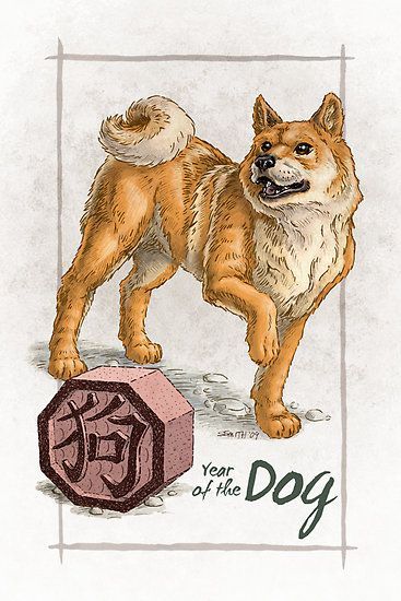 Chinese Astrology - Year Of The Dog Chinese Zodiac Compatibility, Dog Zodiac, Animal Signs, Chinese Dog, The Sun Tarot, Zodiac Cards, Pop Illustration, Zodiac Years, Year Of The Dog