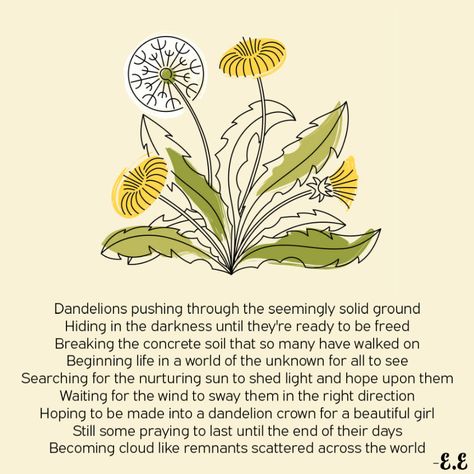 Dandelion Spiritual Meaning, Dandelion Symbolism, Dandelion Poetry, Dandelion Meaning, Dandelion Aesthetic, Dandelion Leaf, Sister Circle, Herbal Education, Crown Images