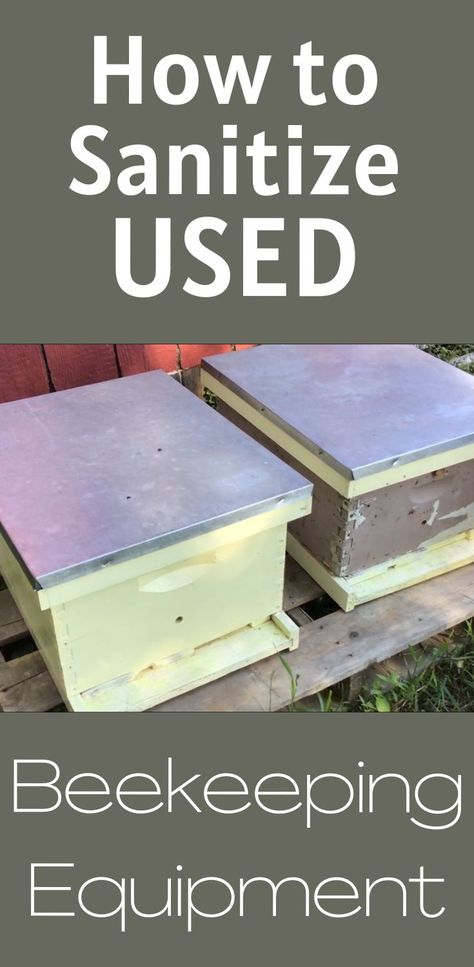 Video and blog post covering how you can sanitize used beekeeping equipment. How To Start Beekeeping, Bee Equipment, Honey Bee Farming, Honey Bees Keeping, Bee Hive Plans, Backyard Bee, Beekeeping Equipment, Homesteading Diy, Bee Swarm