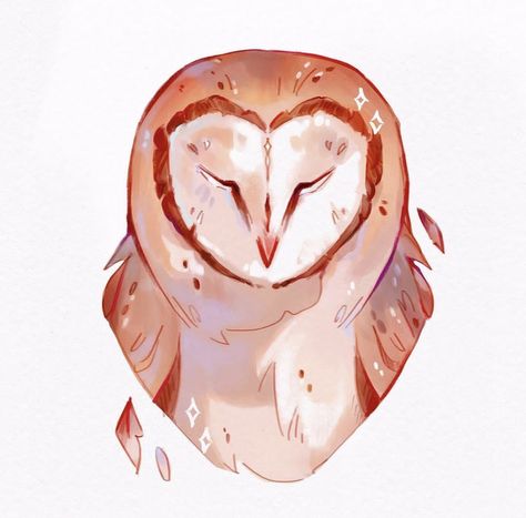 Owl Doodle Cute, Owl Drawing Color, Owl Anatomy, Barn Owl Drawing, Barn Owl Tattoo, Owl Drawings, Owl Doodle, Color Projects, Barn Owl Art