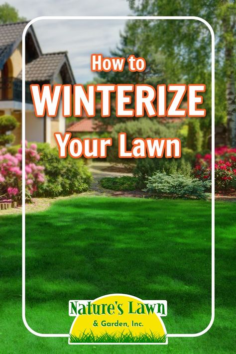 How to winterize your lawn by Nature's Lawn & Garden. Healthy green lawn in front of a nicely landscaped house. Winter Lawn Care, Natural Lawn, Fall Lawn Care, Lawn Mower Maintenance, Fall Lawn, Dog Urine, Grass Type, Soil Ph, Late Fall