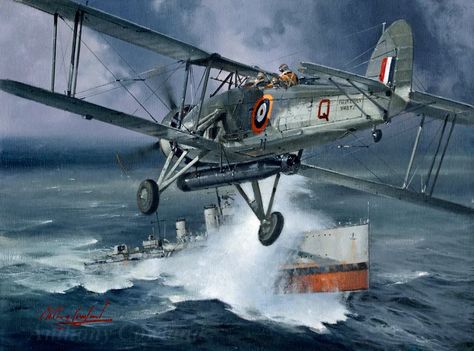 Naval Ships | Anthony Cowland Fairey Swordfish, Royal Navy Aircraft Carriers, Ww1 Aircraft, Naval Aviation, Fly Navy, Navy Aircraft Carrier, Aircraft Painting, Wwii Plane, Flying Boat